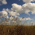 Langeoog2010-04-19-DSC03577