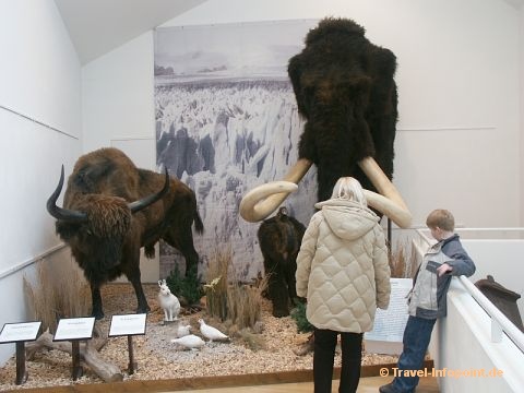Korbach Museum