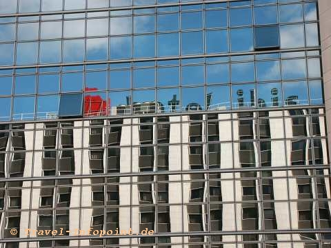 Ibis Berthier im Spiegelbild