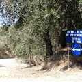 klicken zum Vergrößern: Cap Drastis
