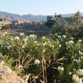 Griechenland_Kos_2015-08-23_20150823_185436
