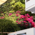 Griechenland_Kos_2015-08-29_DSC07694