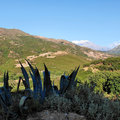 Griechenland_Kreta_Arkadi-Kloster_Potamon-Stausee_2022-06-12_114