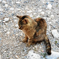 Griechenland_Kreta_Arkadi-Kloster_Potamon-Stausee_2022-06-12_59