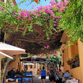 Griechenland_Kreta_Chania_2022-06-16_103