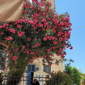 Griechenland_Kreta_Chania_2022-06-16_28