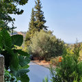 Griechenland / Kreta, Green Oasis: klicken für Infos
