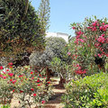 Griechenland_Kreta_Creta_Royal_Hotel_2022-0605_24
