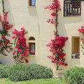 Griechenland_Kreta_Creta_Royal_Hotel_2022-0605_28