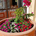 Griechenland_Kreta_Creta_Royal_Hotel_2022-0605_62
