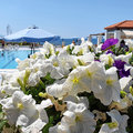 Griechenland_Kreta_Creta_Royal_Hotel_2022-0608_163