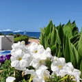 Griechenland_Kreta_Creta_Royal_Hotel_2022-0608_166