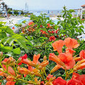 Griechenland_Kreta_Creta_Royal_Hotel_2022-0613_244