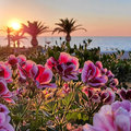 Griechenland_Kreta_Creta_Royal_Hotel_2022-0614_258