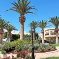 Griechenland_Kreta_Creta_Royal_Hotel_2022-0618_327
