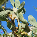 Griechenland_Kreta_Pepper_Sea_Club_Hotel_2020-08-29_436