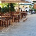 Griechenland_Kreta_Rethymno_2020-08-31_281