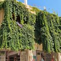 Griechenland_Kreta_Rethymno_2020-09-06_473