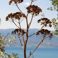 Klicken zum Vergrößern: Golf von Kalloni (Lesbos)