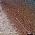 tsonia_beach_sand