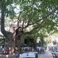 klicken zum Vergrößern: Megalos Prinos, Thassos
