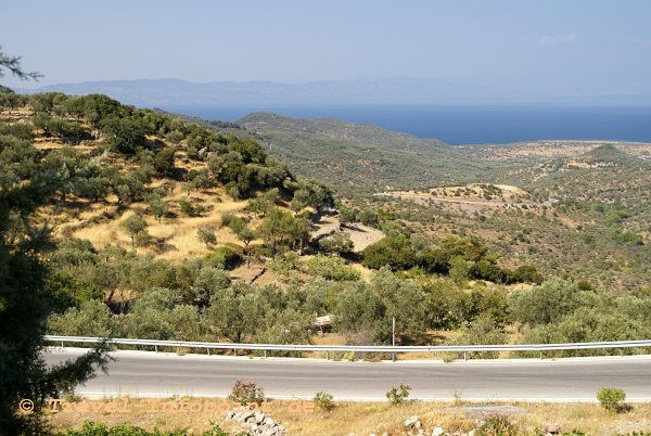 Tsonia / Lesbos