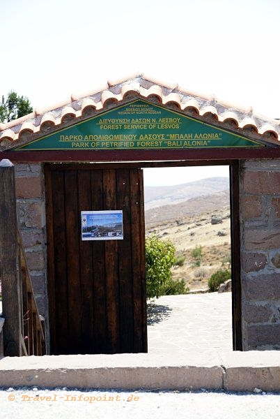 versteinerter Wald, Lesbos / Griechenland