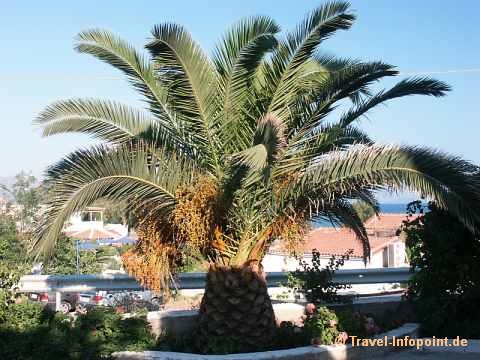 Samos Fauna und Flora