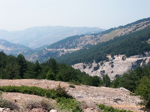 Fahrt zum Ipsarion, Thassos