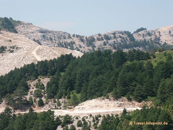 Fahrt zum Ipsarion, Thassos
