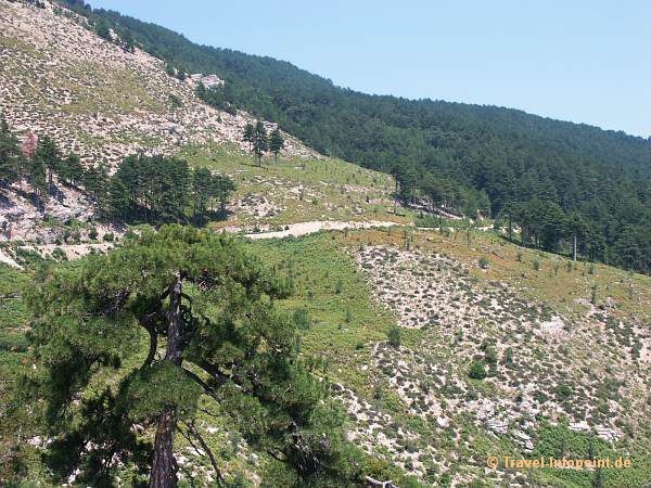 Fahrt zum Ipsarion, Thassos