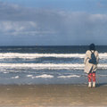 klicken zum Vergrößern -> Kurzurlaub Nordholland 2003 (Callantsoog)