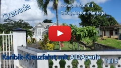 Karibik-Kreuzfahrt: Höhepunkte mit Dougaldston-Plantage