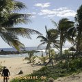 Cozumel / Karibik (zum Vergrößern und für Infos bitte Klicken!)