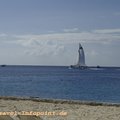 _DSC3906