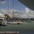 _DSC4308
