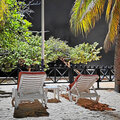 Grenada_Hotel-Coyaba_Grand-Anse-Beach_2025-05-18_24