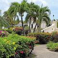 Grenada_Hotel-Coyaba_Grand-Anse-Beach_2025-05-19_27