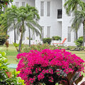 Grenada_Hotel-Coyaba_Grand-Anse-Beach_2025-05-19_29