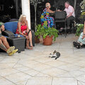 Grenada_Hotel-Coyaba_Grand-Anse-Beach_2025-05-19_57