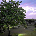 Grenada_Hotel-Coyaba_Grand-Anse-Beach_2025-05-20_85
