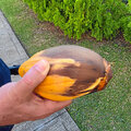 Grenada_Hotel-Coyaba_Grand-Anse-Beach_2025-05-24_158