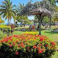 klicken für mehr Infos:  Coyaba Beach Resort 4* Hotelanlage