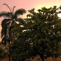 Grenada_Hotel-Coyaba_Grand-Anse-Beach_2025-06-06_308