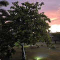 Grenada_Hotel-Coyaba_Grand-Anse-Beach_2025-06-06_312
