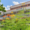 Karibik-Kreuzfahrt_AIDAperla_Barbados_2019-12-05_16