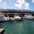 Karibik-Kreuzfahrt_AIDAperla_Barbados_2019-12-05_29