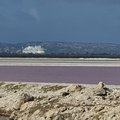 Karibik-Kreuzfahrt_AIDAperla_Bonaire_2019-12-02_30