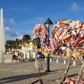 Karibik-Kreuzfahrt_AIDAperla_Bonaire_2019-12-02_51