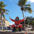 Karibik-Kreuzfahrt_AIDAperla_Curacao_2019-12-01_117